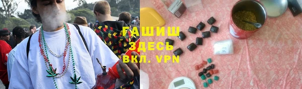 2c-b Бородино