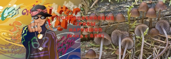 2c-b Бородино