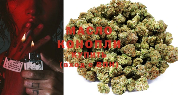 2c-b Бородино