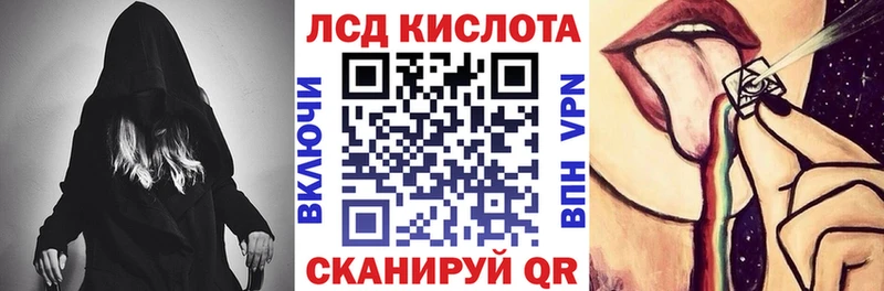 Купить где  Кедровый  Наркотические марки 1500мкг 