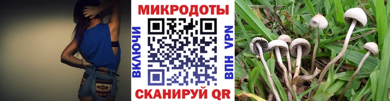 Галлюциногенные грибы мухоморы  Купить закладки  Кедровый 